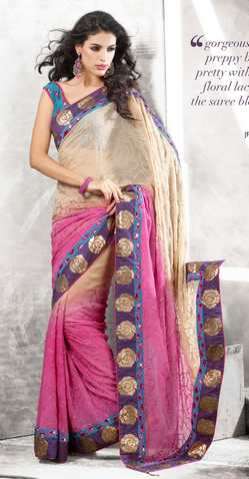 Traumhaftes Elegantes Net Saree (Sari) POORNIMA